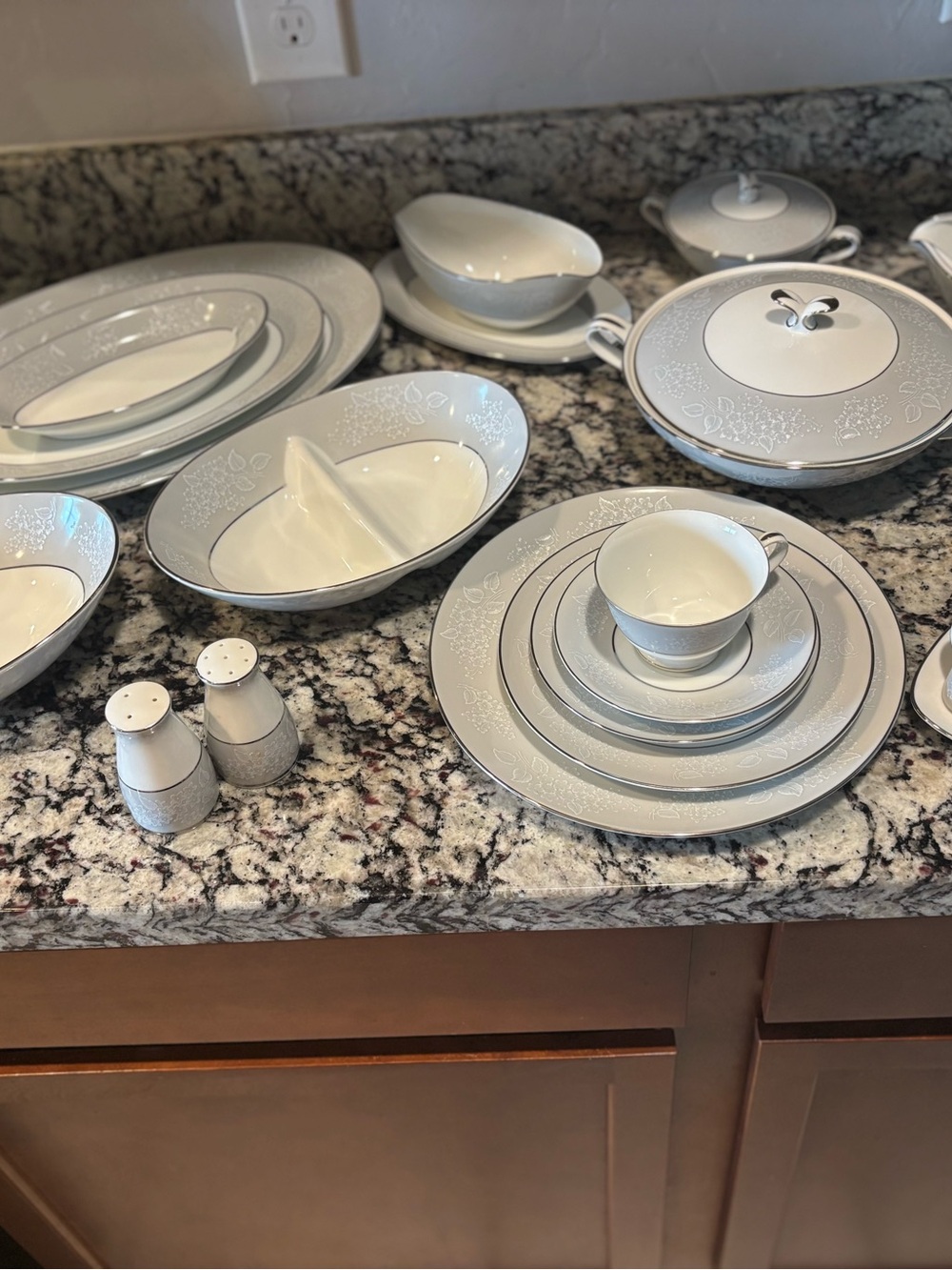 Elegant White and Silver Floral-Trim Dinnerware Set by Noritake